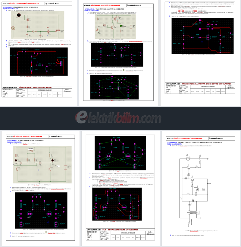 Proteus ARES Temrinleri