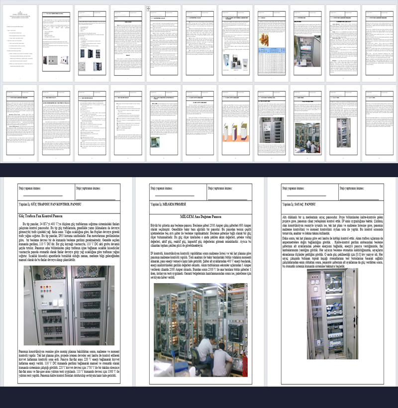 Siemens (Siemens) Anelsis Atelyesi Staj Raporu